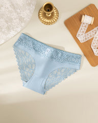 Lace Panel Briefs