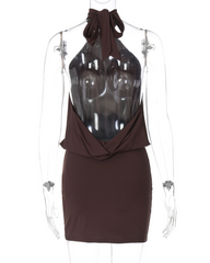 Sleeveless Halter Tie Backless Bodycon Mini Dress