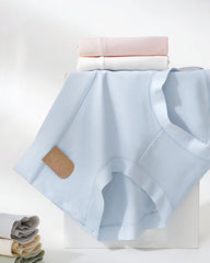Pure Cotton 7a Antibacterial High Waisted Panties