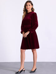 Velvet Smocked Waistline Long Sleeve Midi Dress