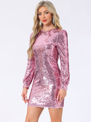 Sequin Lantern Long Sleeve Sparkle Bodycon Party Club Mini Dress
