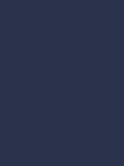 Ruffle Puff Sleeve Lace Trim Chiffon Peasant Blouse
