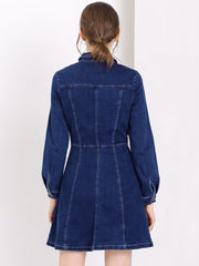 Button Down Collar V Neck Long Sleeve A-line Jean Denim Dress