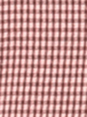 Plaid Gingham Ruffled Retro Peter Pan Collar Dress