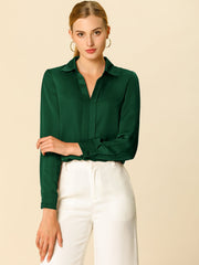 Satin V Neck Long Sleeve Silky Office Work Solid Shirt