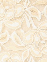 Retro Semi Sheer Puff Long Sleeve Embroidery Lace Blouse