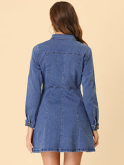 Button Down Collar V Neck Long Sleeve A-line Jean Denim Dress