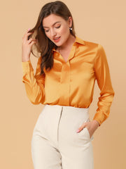 Satin V Neck Long Sleeve Silky Office Work Solid Shirt
