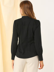Mandarin Collar Long Sleeve Button Down Office Shirt