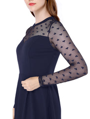 Heart Mesh Sheer Long Sleeve Gothic Cocktail Skater Mini Dress