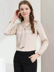 Satin Tie Neck Long Sleeve Solid Color Elegant Office Work Shirt Top