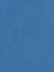 Shawl Collar Single Breasted Winter Long Belted Coat