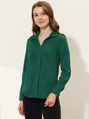 Satin V Neck Long Sleeve Silky Office Work Solid Shirt