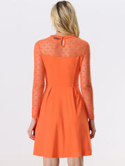 Heart Mesh Sheer Long Sleeve Gothic Cocktail Skater Mini Dress