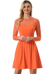 Heart Mesh Sheer Long Sleeve Gothic Cocktail Skater Mini Dress