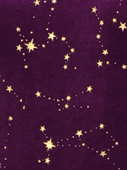 Velvet Blouse Stand Collar Long Sleeve Stars Tops