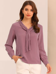 Long Sleeve Chiffon Pleated Tie Neck Office Blouse