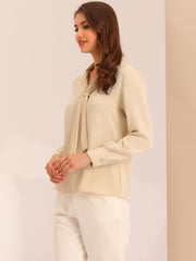 Long Sleeve Chiffon Pleated Tie Neck Office Blouse
