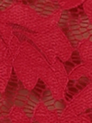 Lace Cardigan Stand Collar Short Elegant Shrug