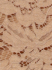 Lace Cardigan Stand Collar Short Elegant Shrug