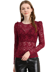 Retro Lace Semi Sheer Puff Long Sleeve Embroidery Blouse