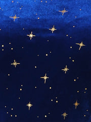 Sheer Puff Sleeve Square Neck Glitter Metallic Star Velvet Mini Dress