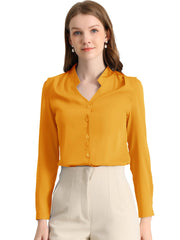Work Office Blouse Button Up Long Sleeve V Neck Chiffon Shirt