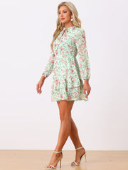 Floral V Neck Semi Sheer Layered Tiered Mini Dress