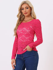 Retro Lace Semi Sheer Puff Long Sleeve Embroidery Blouse
