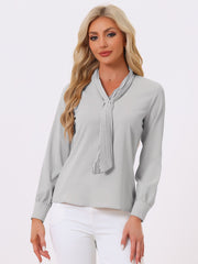 Long Sleeve Chiffon Pleated Tie Neck Office Blouse