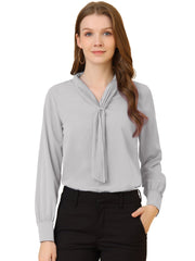 Long Sleeve Chiffon Pleated Tie Neck Office Blouse