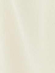 Sleeveless Work Top Pleated Chiffon V Neck Blouse