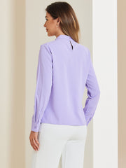Stand Collar Chiffon Long Sleeve Business Casual Work Blouse
