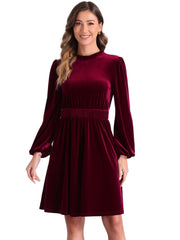 Velvet Smocked Waistline Long Sleeve Midi Dress