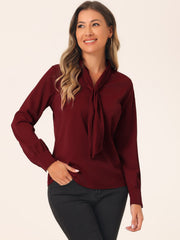 Long Sleeve Chiffon Pleated Tie Neck Office Blouse