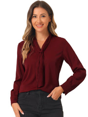 Long Sleeve Chiffon Pleated Tie Neck Office Blouse