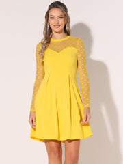 Heart Mesh Sheer Long Sleeve Gothic Cocktail Skater Mini Dress
