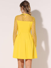 Heart Mesh Sheer Long Sleeve Gothic Cocktail Skater Mini Dress