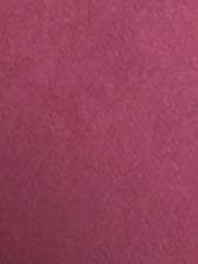 Womens' Velvet Elastic Waist Side Zipper Narrow Leg Skinny Casual Pants