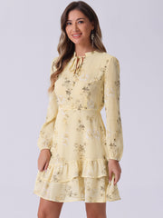 Floral V Neck Semi Sheer Layered Tiered Mini Dress