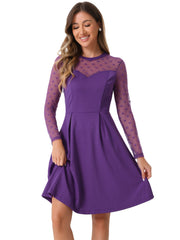 Party Heart Mesh Sheer Sleeve Crew Neck Skater Short Dress