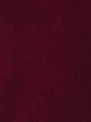 Ruffle Collar Short Cuff Sleeve Velvet Tops Blouse