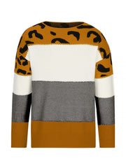Leopard Colorblock Crew Neck Long Sleeve Casual Sweater