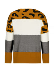 Leopard Colorblock Crew Neck Long Sleeve Casual Sweater