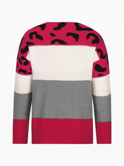 Leopard Colorblock Crew Neck Long Sleeve Casual Sweater
