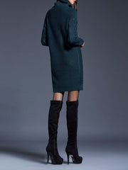 Turtle Neck Twist Knit Long Sleeves Mini Sweater Dress