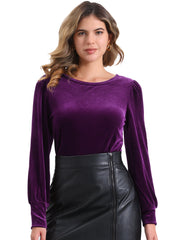 Velvet Round Neck Puff Long Sleeve Casual Pullover Blouse