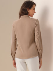 Long Sleeve Chiffon Pleated Tie Neck Office Blouse