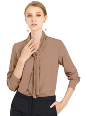 Long Sleeve Chiffon Pleated Tie Neck Office Blouse