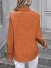 Collared Long Sleeves Button Down Work Shirt
